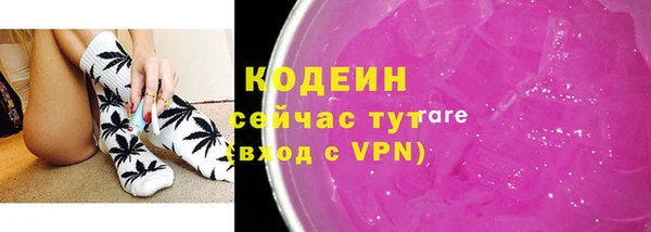 соль ск Переславль-Залесский