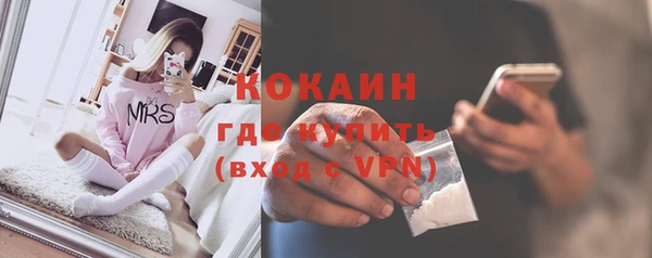 соль ск Переславль-Залесский