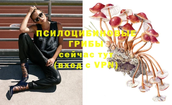 скорость Покачи
