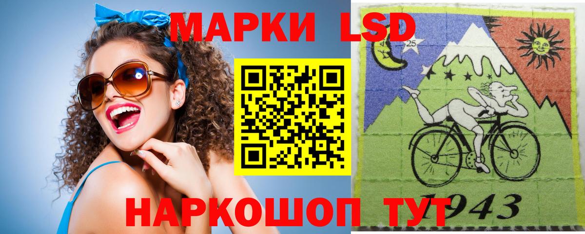 LSD-25 экстази кислота  Курчалой  Лсд 25 экстази кислота 