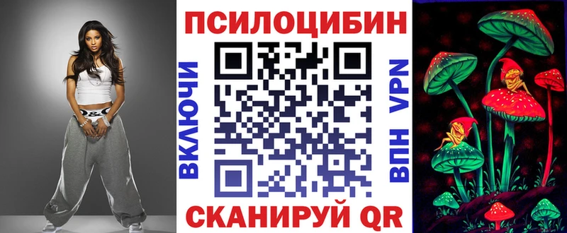 площадка состав  Курчалой  Галлюциногенные грибы Cubensis 
