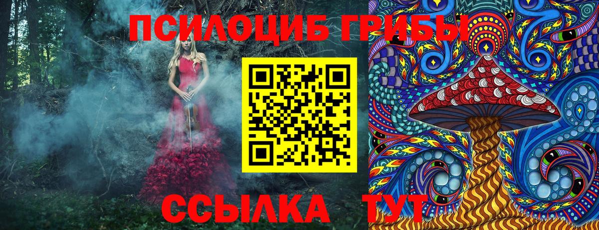 Псилоцибиновые грибы прущие грибы  Вход с VPN  Курчалой 