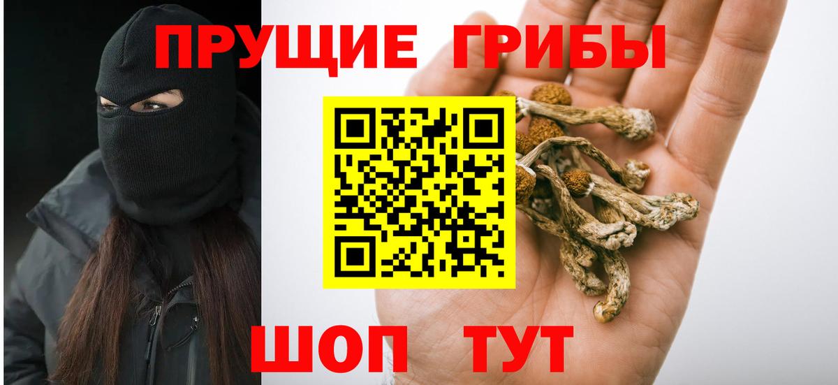Галлюциногенные грибы ЛСД Курчалой