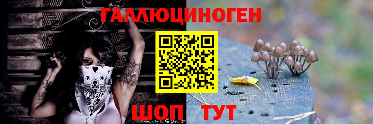 Бутират Курчалой